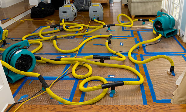 Professional Basement Flood Cleanup technician working in Silver Bay, MN